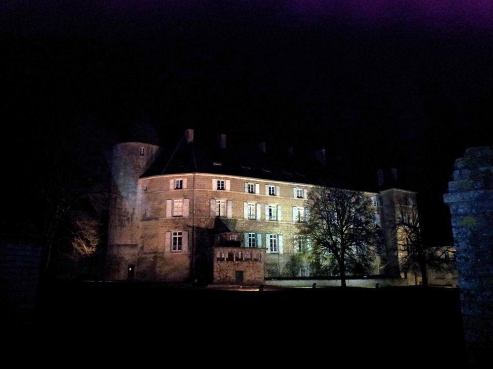 Chateau De Frasne Exterior foto